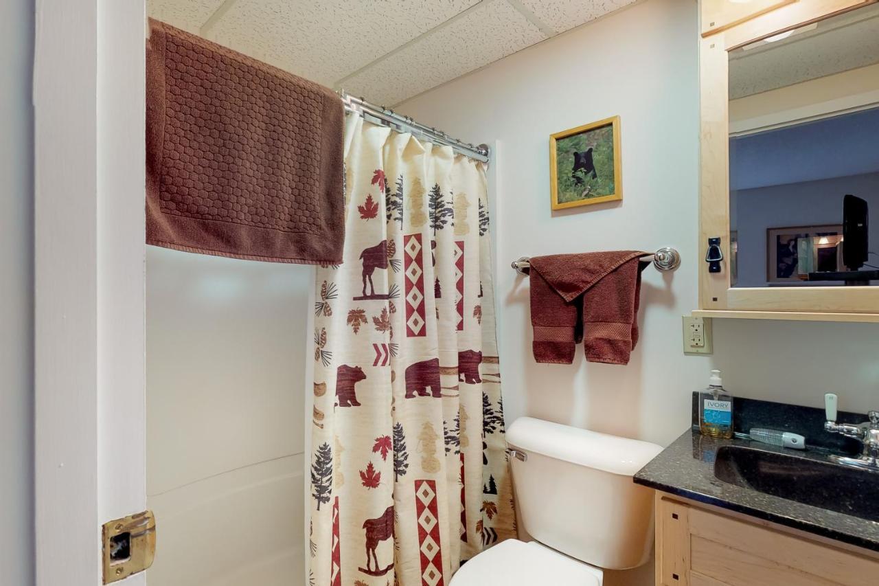 Squaw Village Condo Greenville Szoba fotó